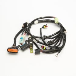 Жгут проводки для инжектора CS 177MM NC250 Avantis Enduro 250/300 pro 2021
