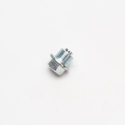 Болт заглушка ГРМ M14x1.5  YX1P53FMI W120, W120-2, YX1P56FMJ X150
