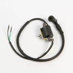 Катушка зажигания ATV Neo 8