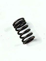 Пружина клапана внешняя 170MM TwinCam