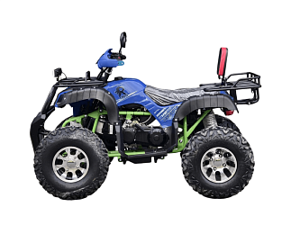 Квадроцикл R-moto Lion 200LD (с лебёдкой)