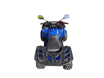 Квадроцикл R-moto Lion 125 A lite