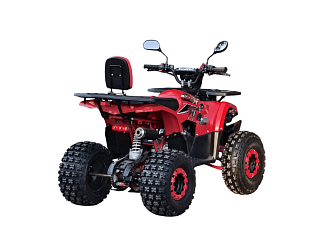 Квадроцикл R-moto Lion 125 A