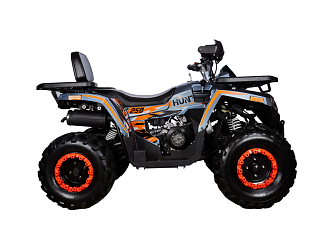 Квадроцикл Avantis Hunter 250 BIG NEW Basic (баланс. вал) 2025 (250 см3)