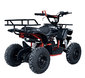 Квадроцикл WELS Thunder mini 2T