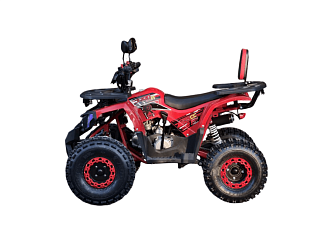 Квадроцикл R-moto Lion 125 A