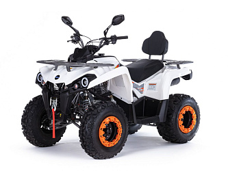 Квадроцикл Motax Grizzlik 200 ULTRA