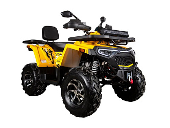 Квадроцикл Avantis Hunter 250 BIG NEW Premium (баланс. вал)