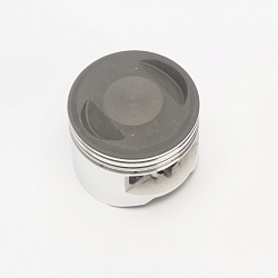 Поршень YX1P56FMJ X150