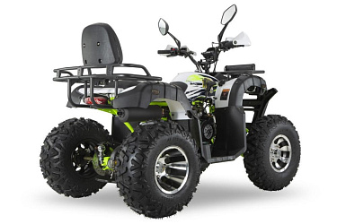 Квадроцикл R-moto Lion 200 PRO