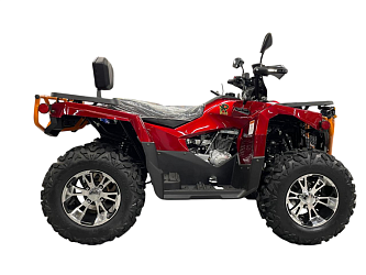 Квадроцикл R-moto Lion 200 King