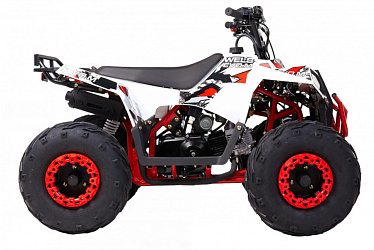 Квадроцикл WELS Thunder Evo.M 110