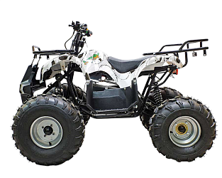 Квадроцикл GreenCamel Атакама T220 (48V 1000W R8 Дифференциал)