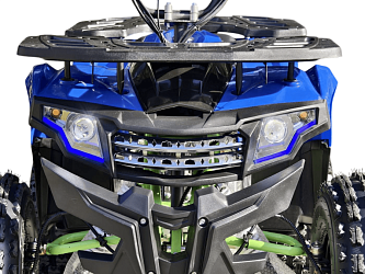 Квадроцикл R-moto Lion 125 A lite