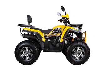 Квадроцикл Avantis AURA 200 Premium