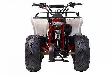 Квадроцикл WELS Thunder Evo.M 110