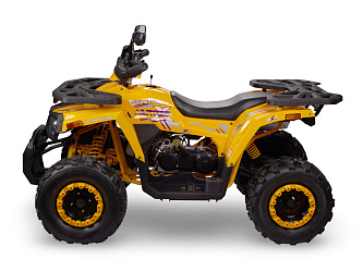 Квадроцикл Avantis Hunter 200 NEW BIG Basic (баланс. вал) (200 см3)