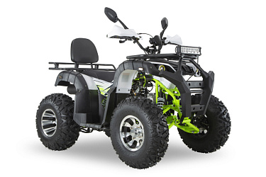 Квадроцикл R-moto Lion 200 PRO