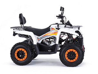 Квадроцикл Motax Grizzlik 200 ULTRA