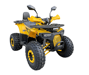 Квадроцикл R-moto Lion 125 AR