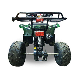 Квадроцикл Millennium 110C