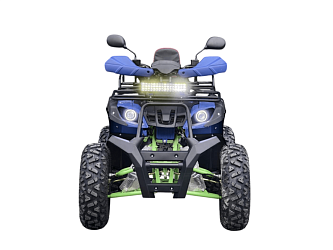 Квадроцикл R-moto Lion 200LD (с лебёдкой)