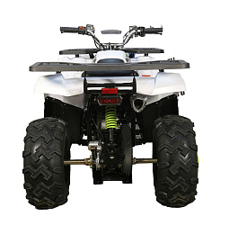 Квадроцикл Avantis Hunter 200 NEW  (баланс. вал) 2024