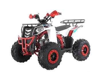 Квадроцикл WELS Thunder Evo 125 (2025)