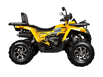 Квадроцикл Avantis Hunter 250 BIG NEW Premium (баланс. вал)