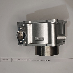 Цилиндр ZS174MN-5 NB300