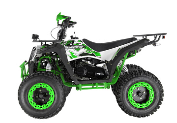 Квадроцикл WELS Thunder Evo X 200