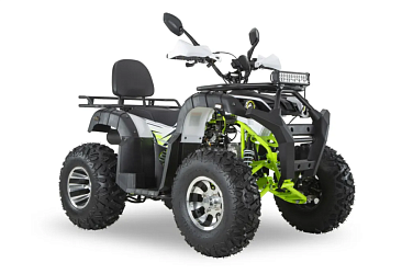 Квадроцикл R-moto Lion 200 Lite