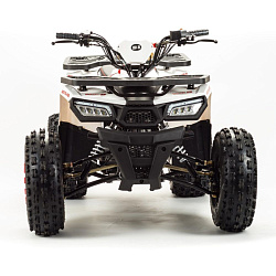Квадроцикл Wild 125A