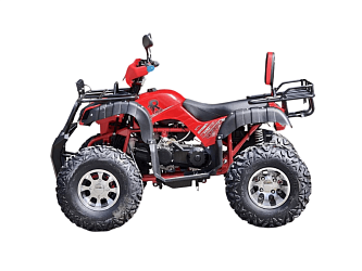 Квадроцикл R-moto Lion 200 Lite