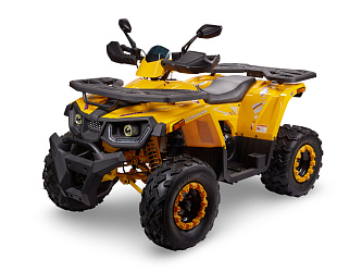 Квадроцикл Avantis Hunter 200 NEW BIG Basic (баланс. вал) 2025 (200 см3)