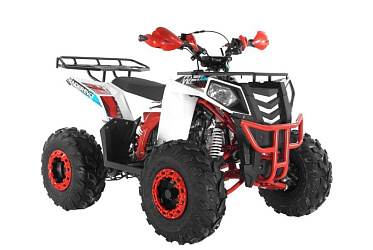 Квадроцикл WELS Thunder Evo 125 (2025)