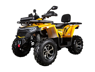 Квадроцикл Avantis Hunter 250 BIG NEW Premium (баланс. вал)