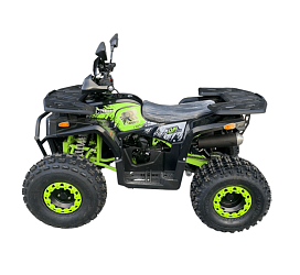 Квадроцикл R-moto Lion 125 AY