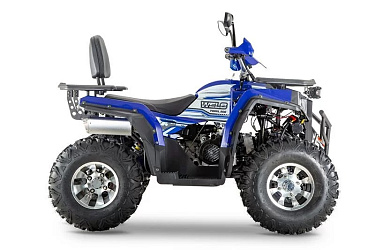 Квадроцикл WELS Thunder Trail 200 PRO