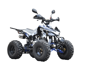 Квадроцикл R-moto Lion 130 S