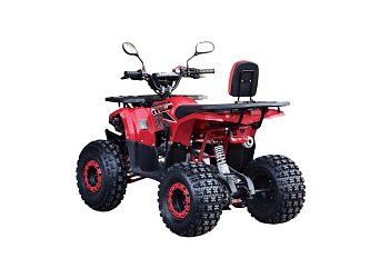 Квадроцикл R-moto Lion 125 A