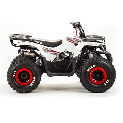 Квадроцикл Wild 125A