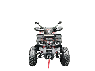 Квадроцикл Motax Grizzlik 200 Lux