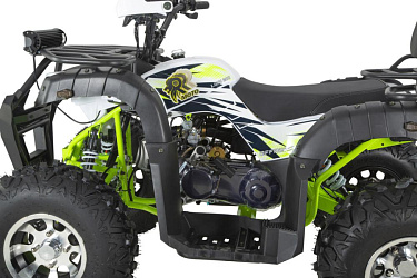 Квадроцикл R-moto Lion 200 PRO