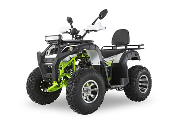 Квадроцикл R-moto Lion 200 PRO