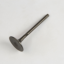 Клапан впускной ZS1P62YML-2 (W190)
