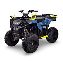 Квадроцикл Avantis Ray 200 Basic 