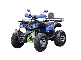 Квадроцикл R-moto Lion 200LD (с лебёдкой)