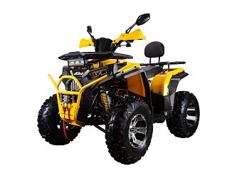 Квадроцикл Avantis AURA 200 Premium
