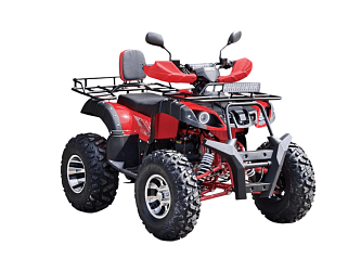 Квадроцикл R-moto Lion 200LD